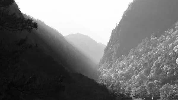 Aid convoys reach quake-hit valleys. Demo copy written by the seed script so the section has realistic volume.